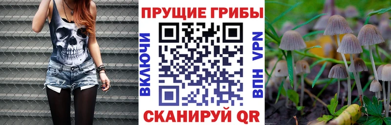 Псилоцибиновые грибы GOLDEN TEACHER  shop какой сайт  Гаврилов-Ям 